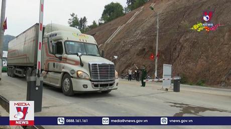 Xuất khẩu nhiều xe rau quả sang Trung Quốc