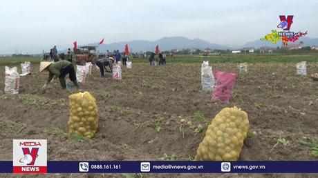 Không khí ra quân sản xuất đầu năm tại Quảng Ninh