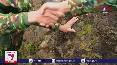 Tết nơi vọng gác biên cương