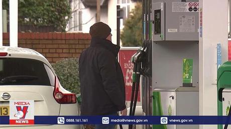 Mỹ cân nhắc mọi phương án nhằm giảm giá dầu