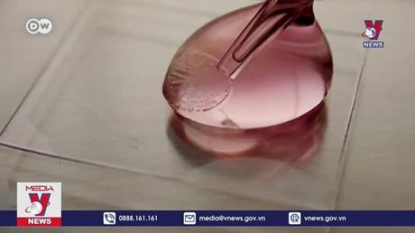 Omicron tồn tại trên các bề mặt lâu hơn các biến thể khác 