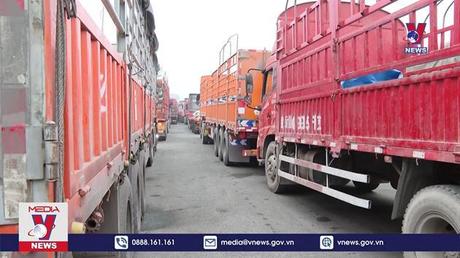 Xử nghiêm hành vi lợi dụng ùn tắc hàng hóa để vi phạm pháp luật