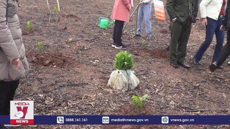 Hòa Bình đặt mục tiêu trồng 2,2 triệu cây xanh năm 2022