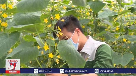 Hỗ trợ doanh nghiệp tư nhân kinh doanh bền vững