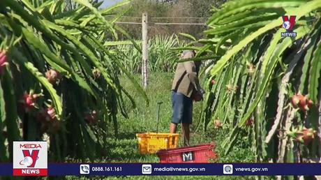 Nông nghiệp Việt Nam phấn đấu thuộc tốp đầu thế giới