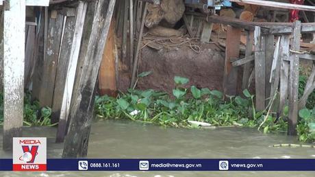 Người dân Đồng Tháp mong sớm được xây dựng kè bờ sông Tiền