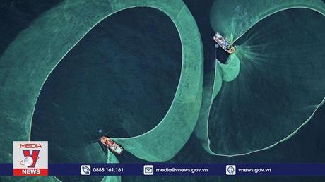 Tác phẩm Việt thắng giải nhiếp ảnh dưới nước