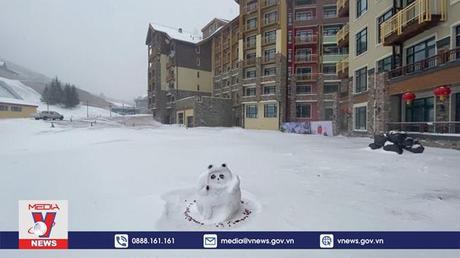 Các vận động viên Olympic đón Valentine