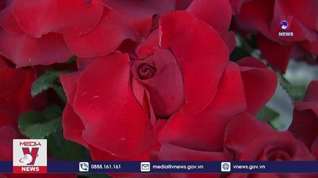 Hoa hồng tình yêu từ những người khuyết tật 