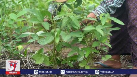 Lào đặt mục tiêu đưa lượng khí thải ròng về mức 0 vào năm 2050