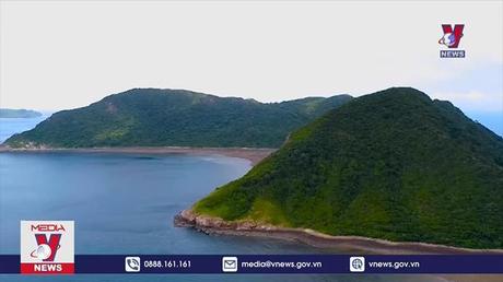 Bà Rịa – Vũng Tàu trồng mới 305 ha rừng trong năm 2022