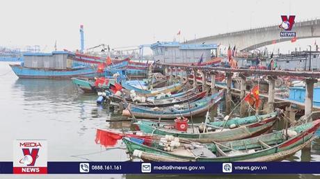 Tàu cá Quảng Trị nằm bờ do nhiên liệu tăng cao
