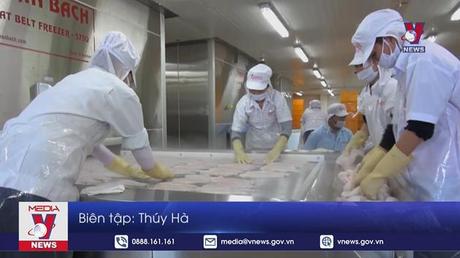 Giá cá tra ở miền Tây tăng mạnh