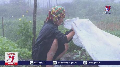 Vụ Đông Xuân đối mặt rét đậm, rét hại và nguy cơ thiếu nước