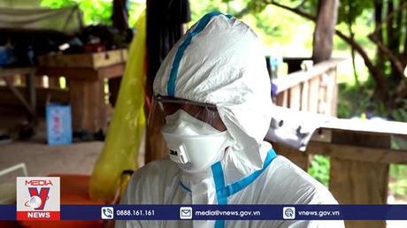 Dơi ở Lào là vật chủ gần gũi nhất với virus SARS-CoV-2