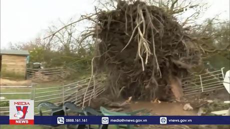 Anh phát cảnh báo đỏ trước bão Eunice