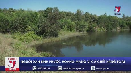 Người dân Bình Phước hoang mang vì cá chết hàng loạt