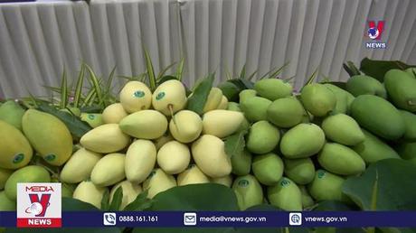 Xuất khẩu lô xoài đầu năm 2022 của Đồng Tháp sang Châu Âu