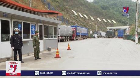Linh hoạt giữ vững vùng xanh cửa khẩu