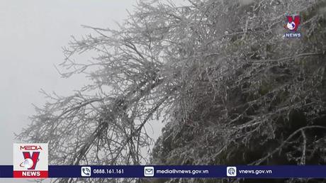 Xuất hiện băng tuyết ở huyện Mù Cang Chải