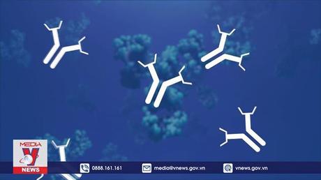 Kháng thể cao không đảm bảo miễn nhiễm COVID-19