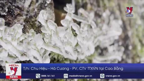 Băng giá bao phủ trắng đỉnh núi ở Cao Bằng