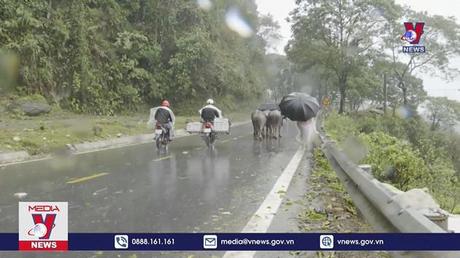 Nhiệt độ tại nhiều khu vực núi cao của Lào Cai giảm sâu