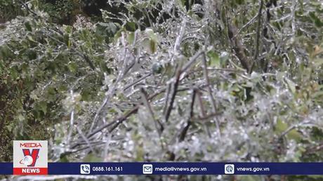 Xuất hiện băng tuyết ở huyện Mù Cang Chải