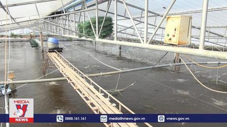 Hải Phòng tăng cường chống rét cho thủy sản