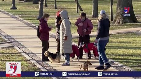 Nga, Pháp thúc đẩy giải pháp ngoại giao cho khủng hoảng Ukraine 