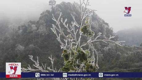 Băng giá dày đặc trên đỉnh Ca Dằm, Cao Bằng