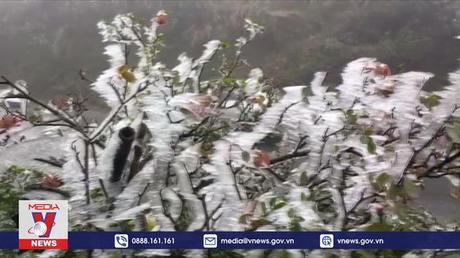 Lai Châu tăng cường phòng chống rét đậm, rét hại