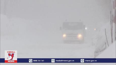 Giao thông Nhật Bản đình trệ do tuyết rơi dày