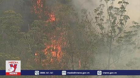 Cảnh báo nguy cơ cháy rừng gia tăng