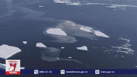 Diện tích băng biển ở Nam Cực giảm xuống mức thấp nhất trong lịch sử