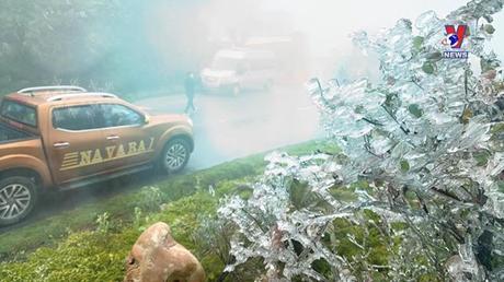 Thích ứng an toàn ngày 23/02/2022
