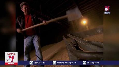 Giá hàng hóa toàn cầu tăng mạnh