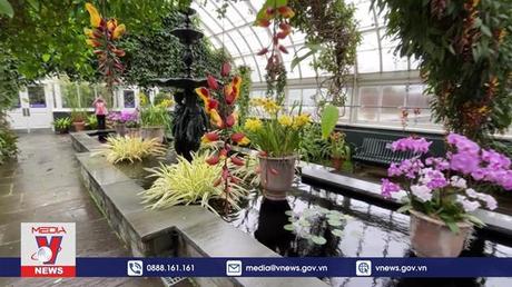 Triển lãm hoa lan tại New York