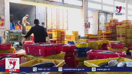 Xuất khẩu cá ngừ tăng mạnh nhất 2 năm