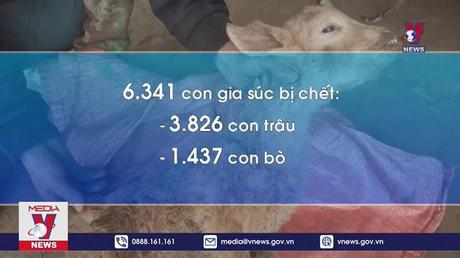 Rét đậm, rét hại gây thiệt hại hơn 6.300 con gia súc