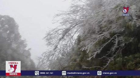 Mù Cang Chải tăng cường phòng chống rét cho gia súc