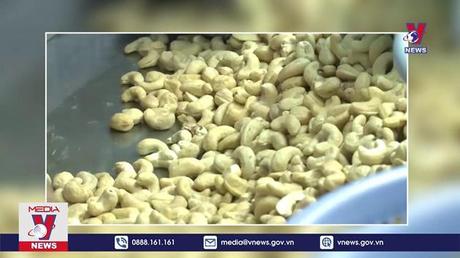 Việt Nam đứng đầu thế giới về xuất khẩu nhân điều
