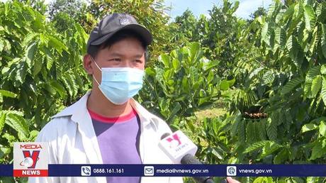 Kon Tum mở rộng diện tích tưới tiết kiệm, ứng phó với hạn hán