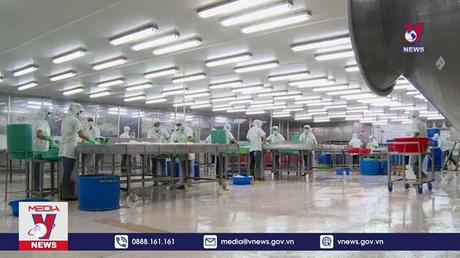 Cá tra xuất khẩu sang Trung Quốc bị cảnh báo COVID-19