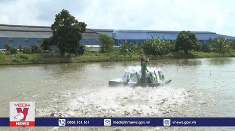 Thận trọng khi cá tra “sốt” giá