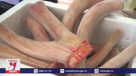 Nhung hươu đem lại thu nhập cao cho người dân Hương Sơn