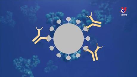 Thích ứng an toàn ngày 01/03/2022