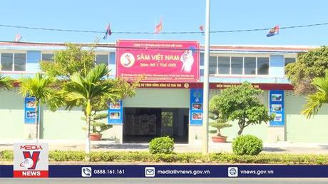 Kon Tum cần có giải pháp bảo vệ Sâm Ngọc Linh