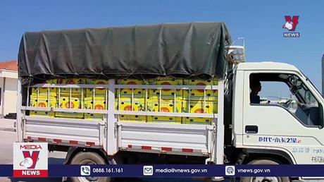 Có 1.656 doanh nghiệp được cấp mã số xuất khẩu sang Trung Quốc