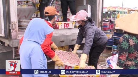 Ngư dân Hà Tĩnh ra khơi đón lộc biển đầu năm